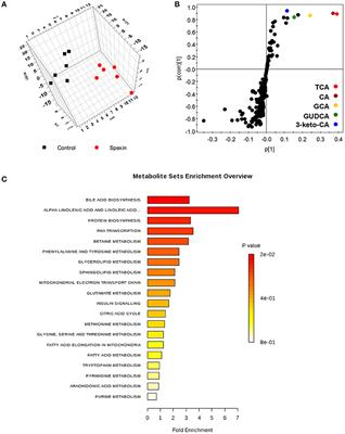 Spexin Acts as Novel Regulator for Bile Acid Synthesis